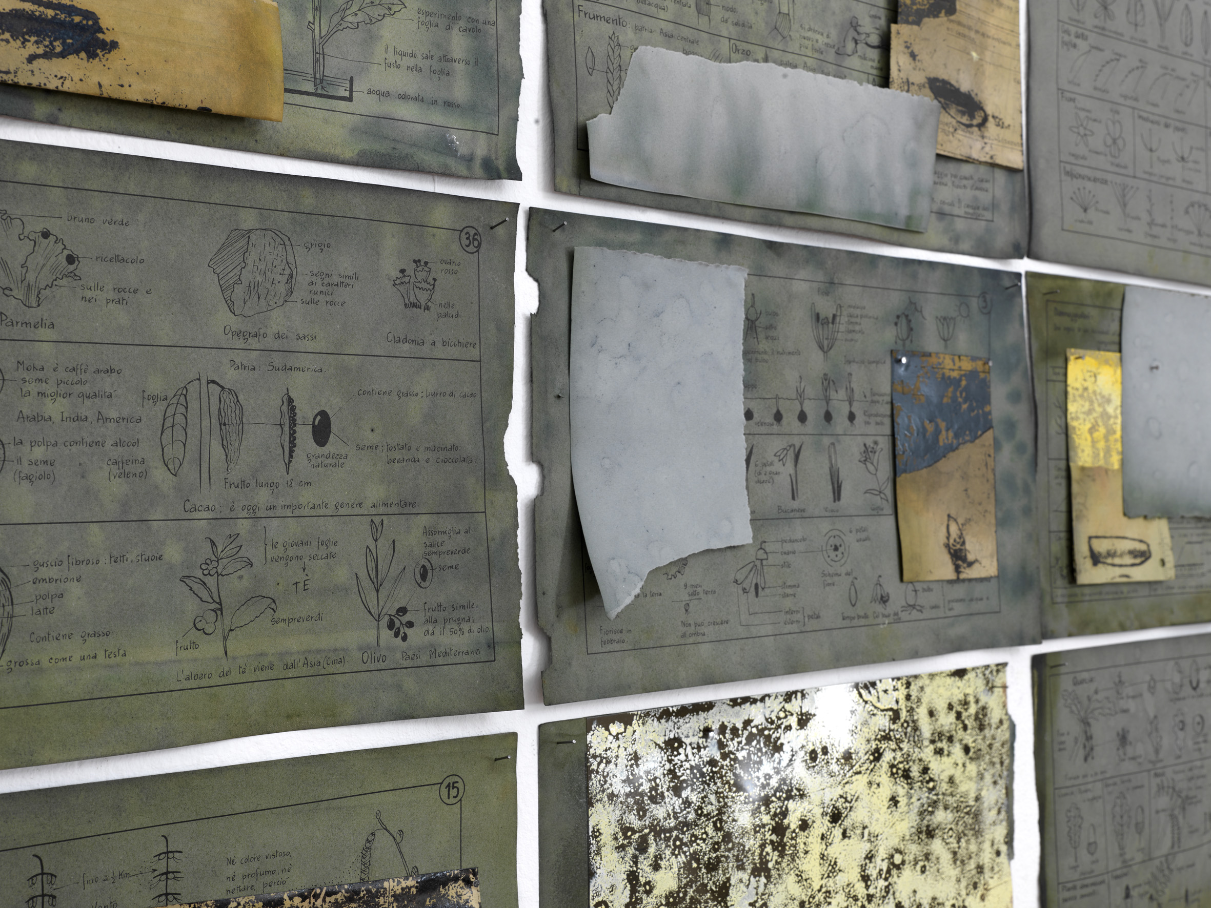 Francesco Geronazzo_0046