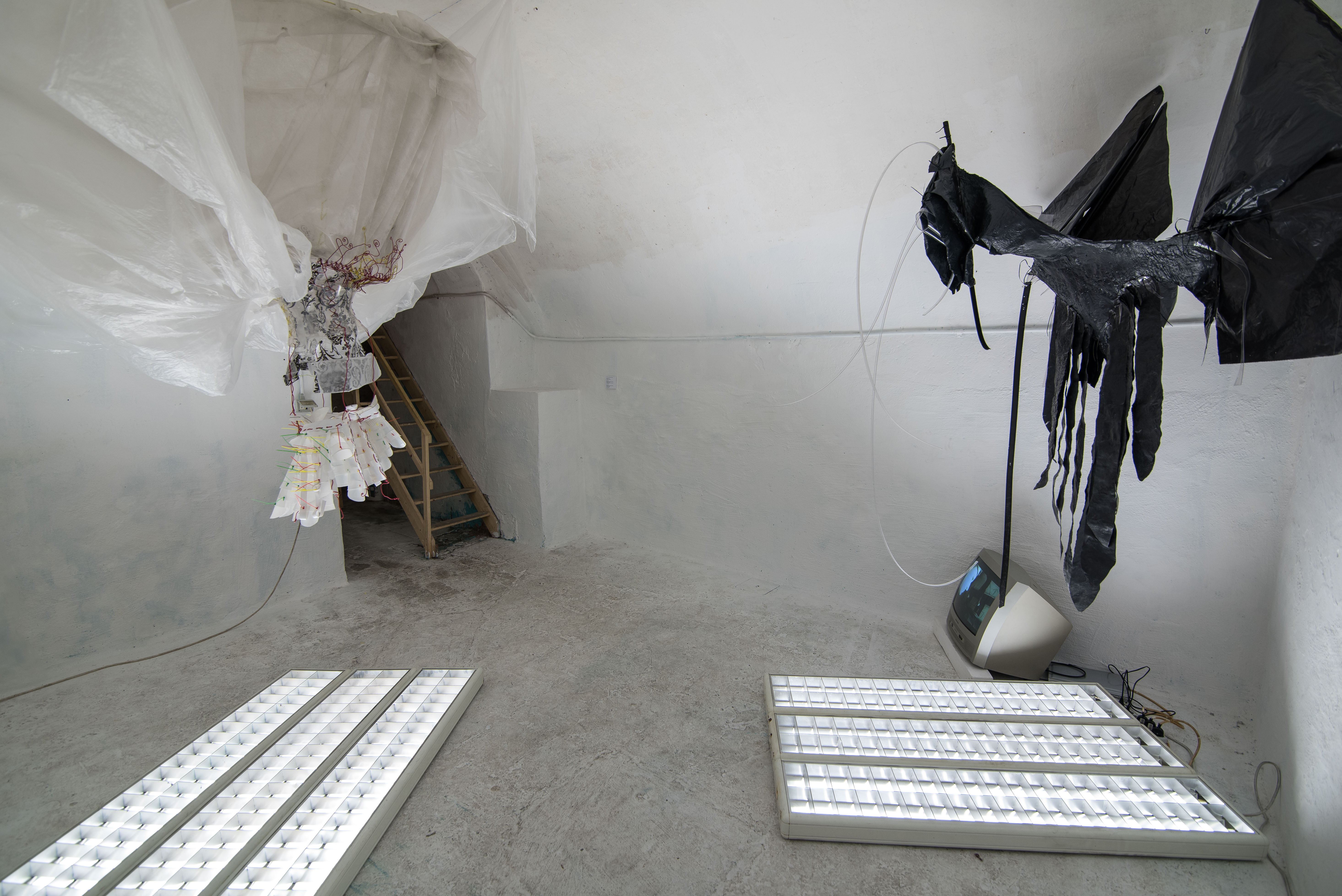 Marco_Mastroianni-11