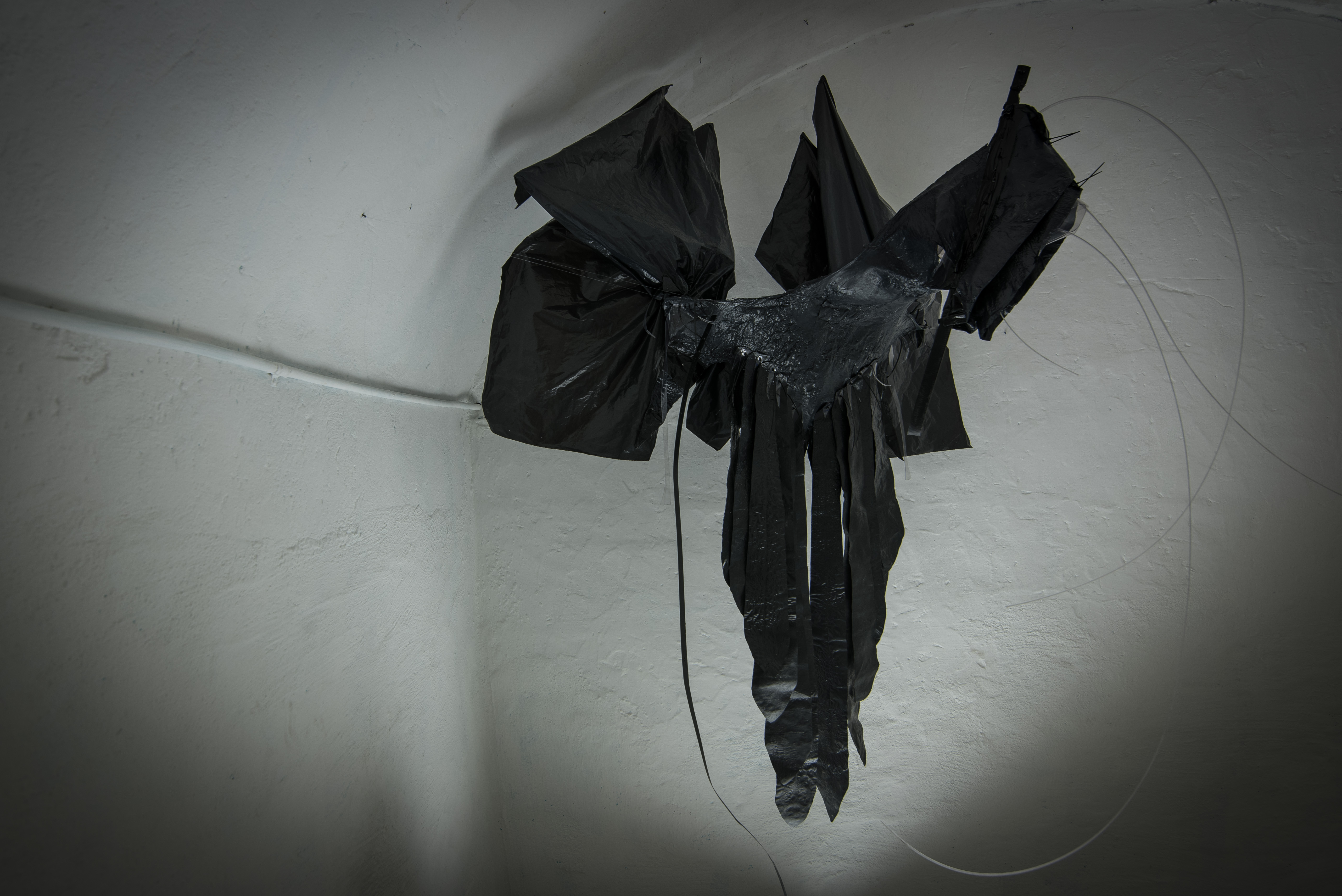 Marco_Mastroianni-13