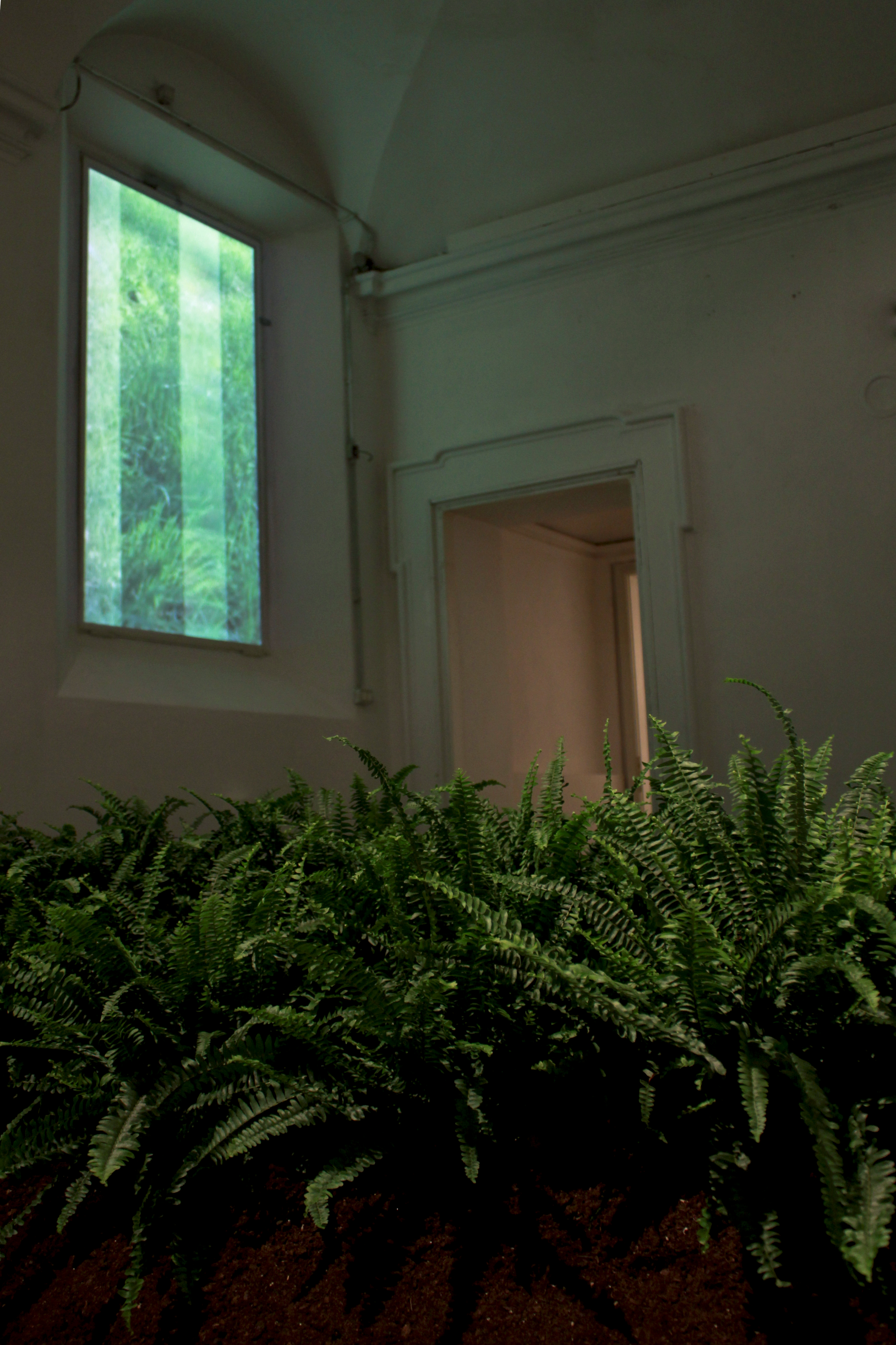 hiding place for the horizons_show1