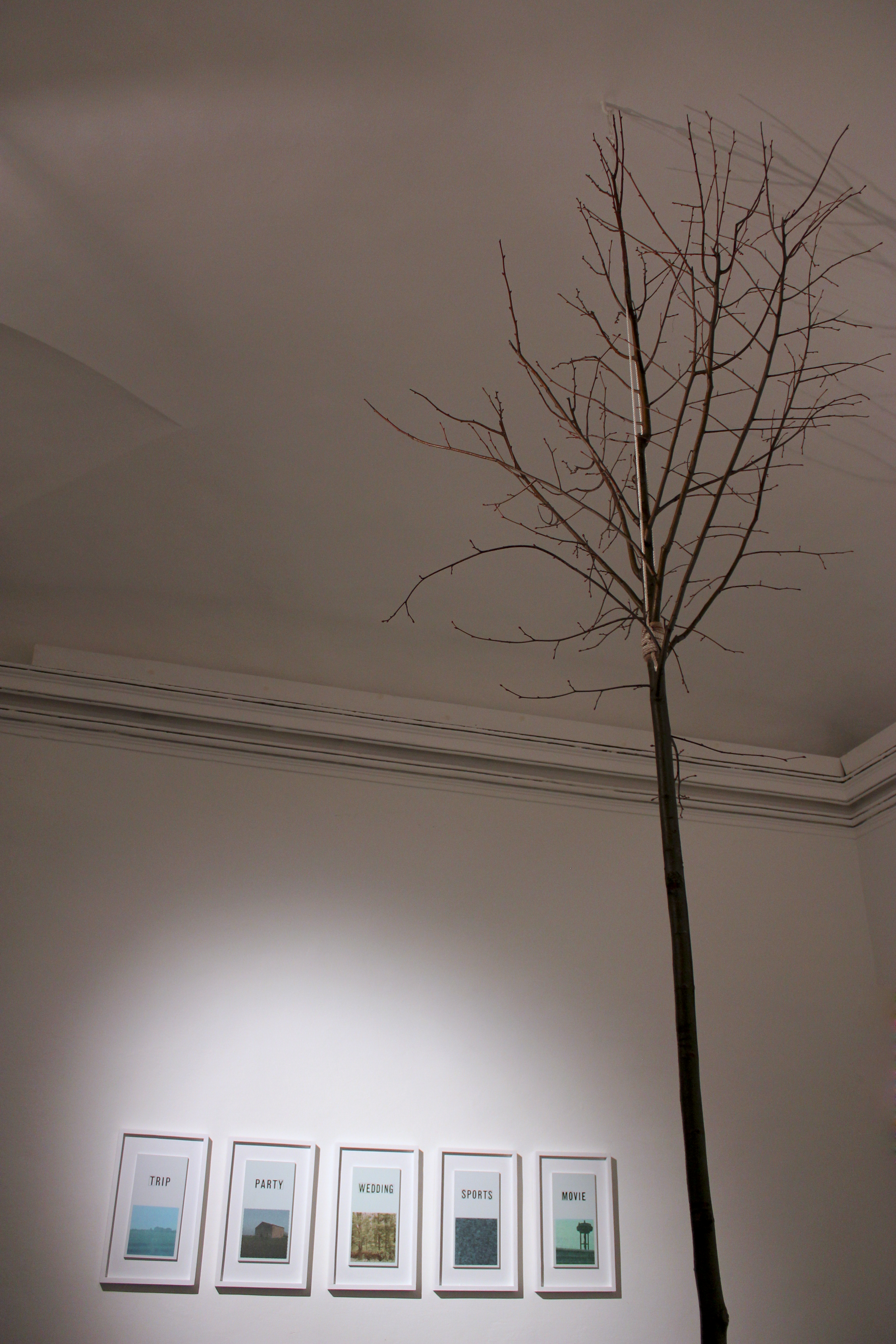 nomadic_landscape_elements_paesaggio con errore_foto2