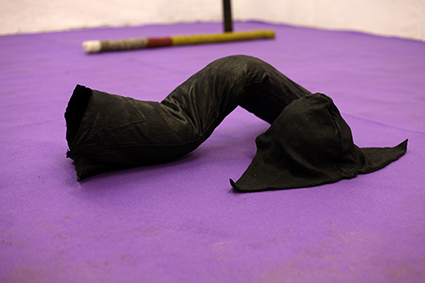 Particolare Ceroni_sala viola