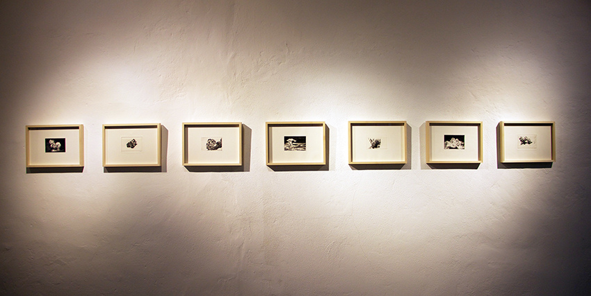 Serretta immagine incisioni