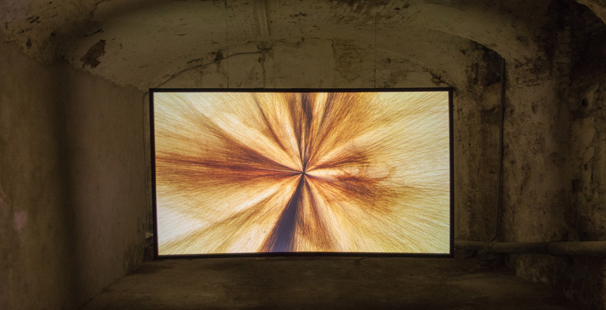 1_sito_Andrea Familari