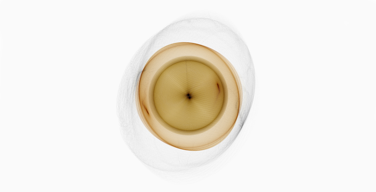 2_sito_Andrea Familari