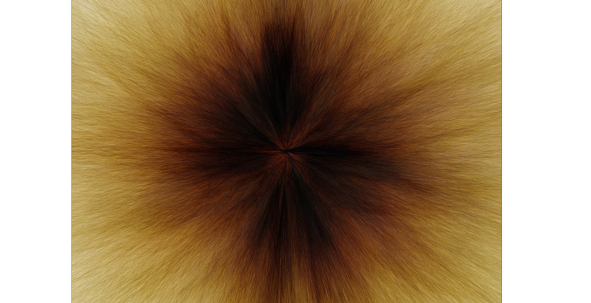 3_sito_Andrea Familari