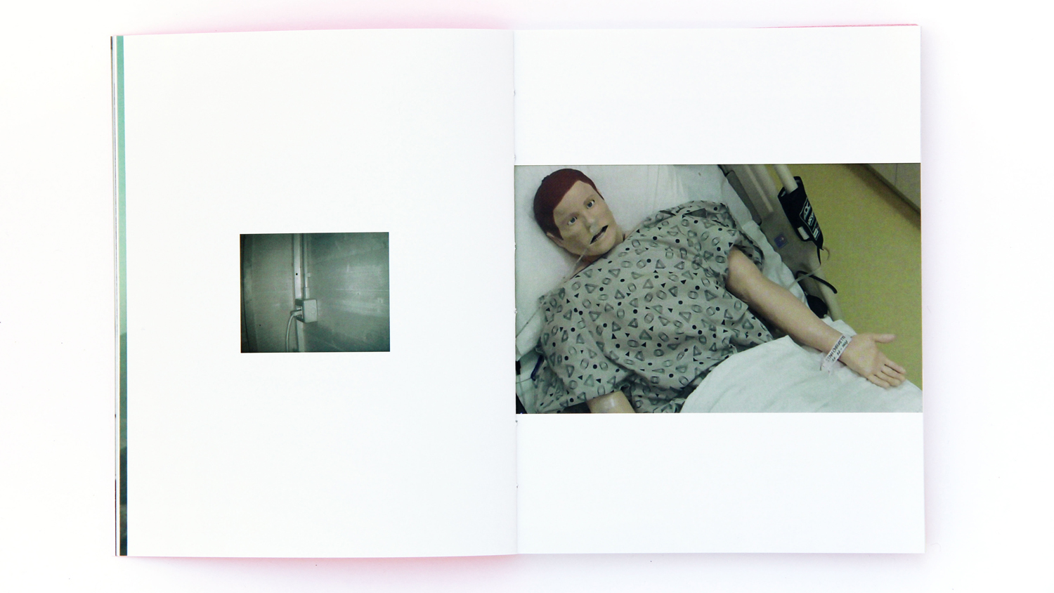 libro irene fenara interno2