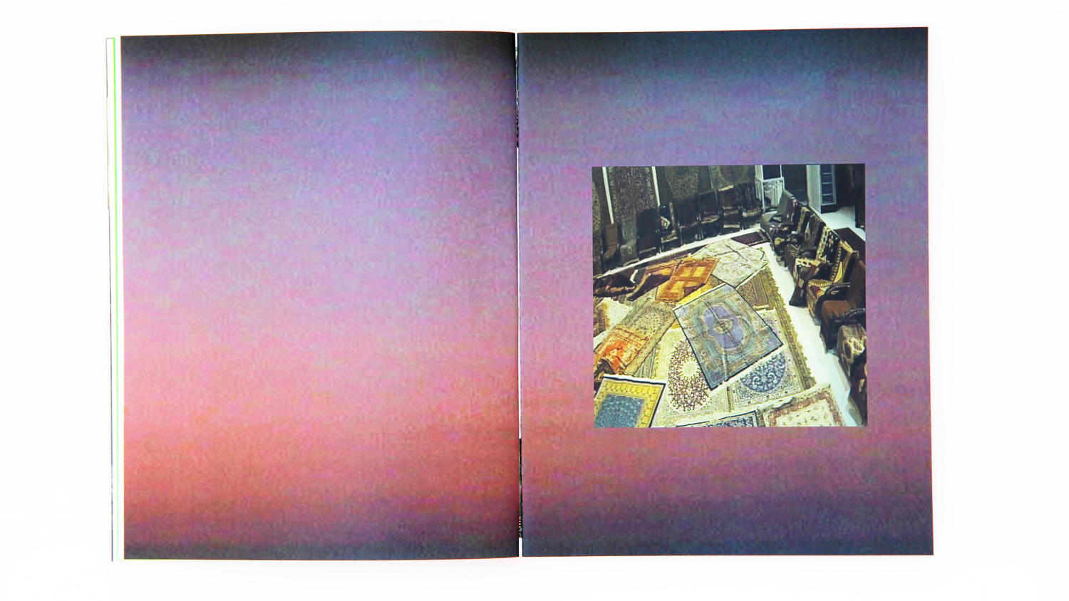 libro irene fenara interno3