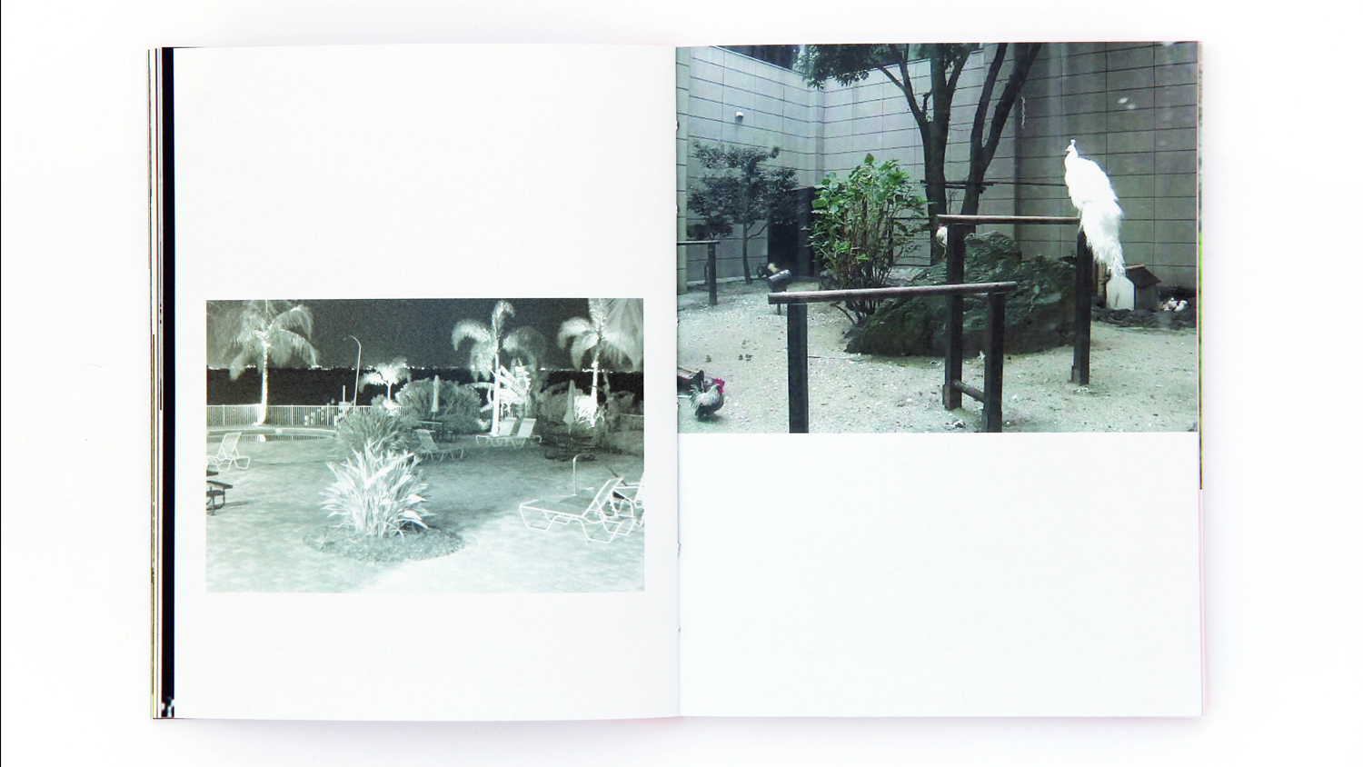 libro irene fenara interno4