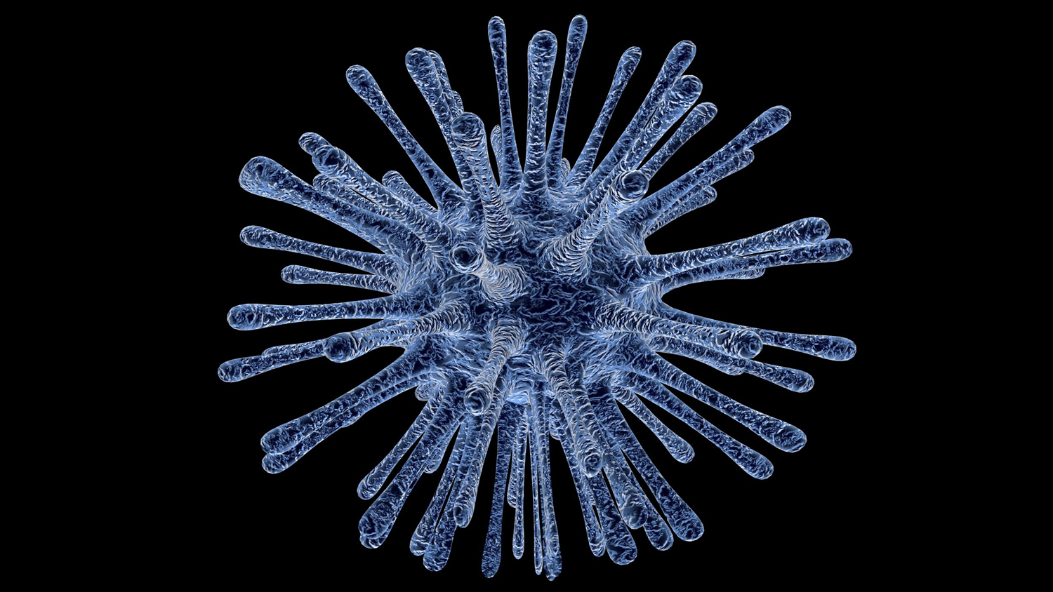 invito Bufalini interno sito