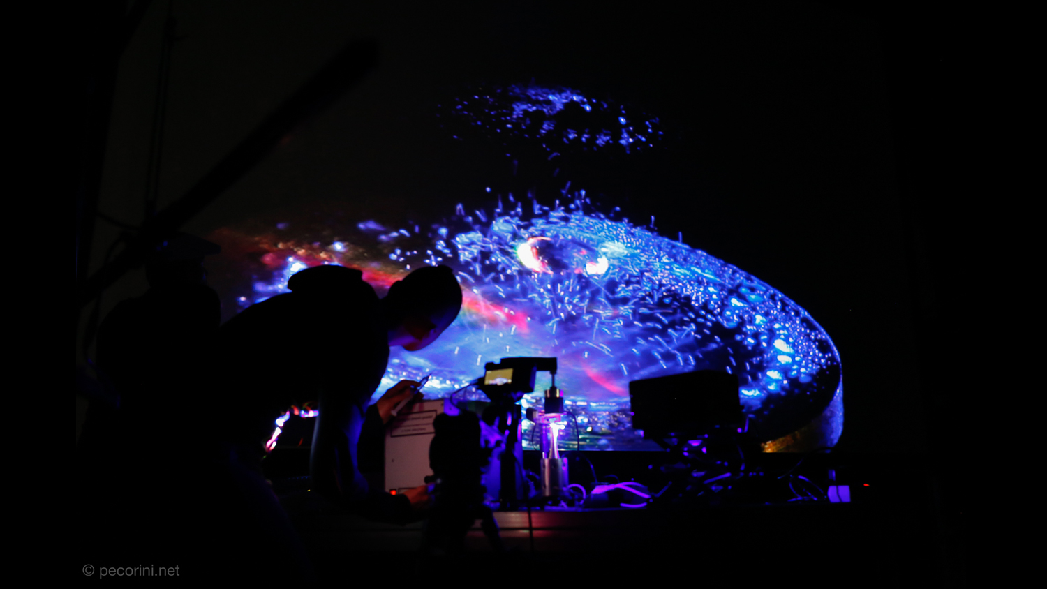 force field interno sito
