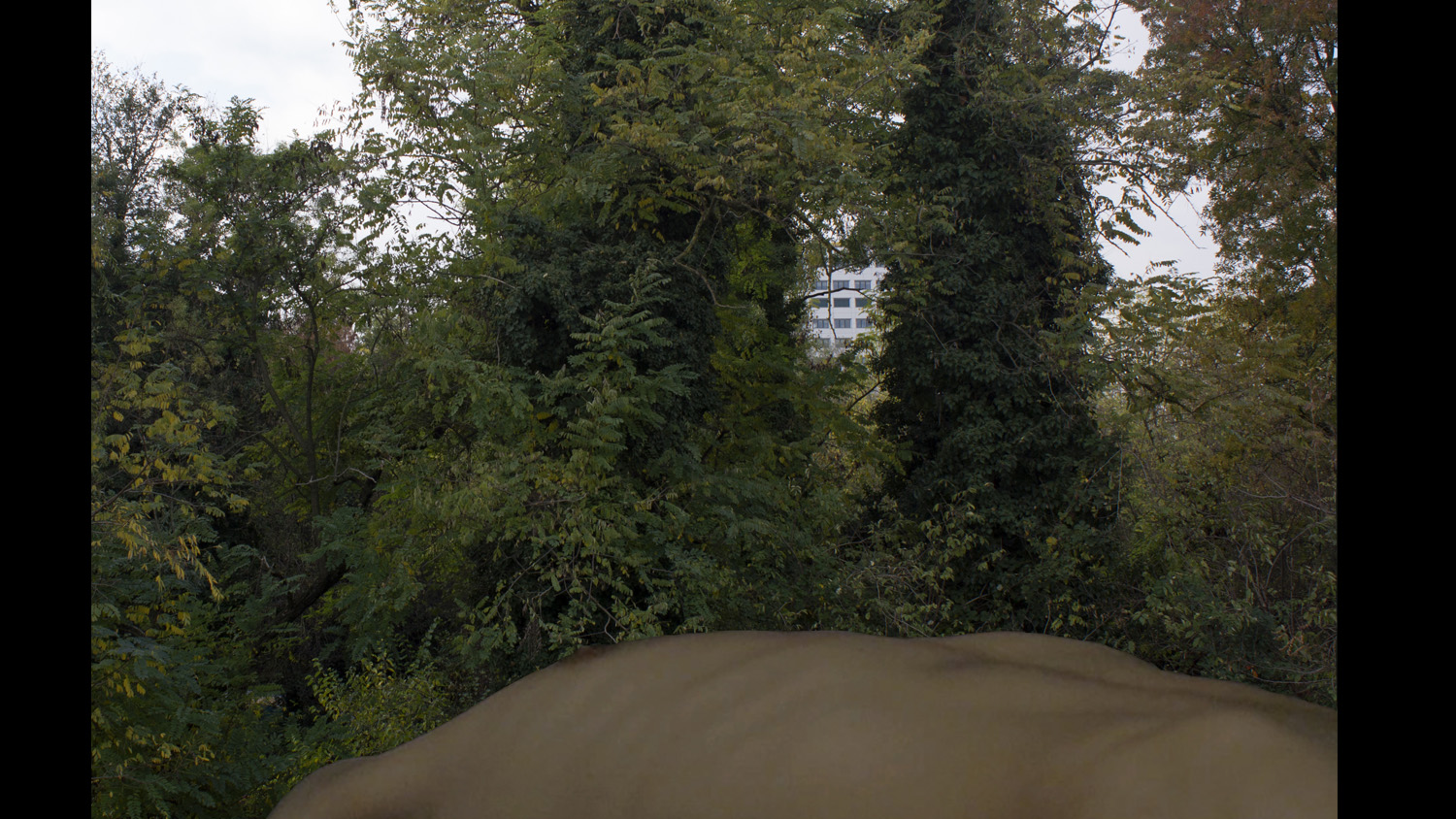 disbiosi interno sito