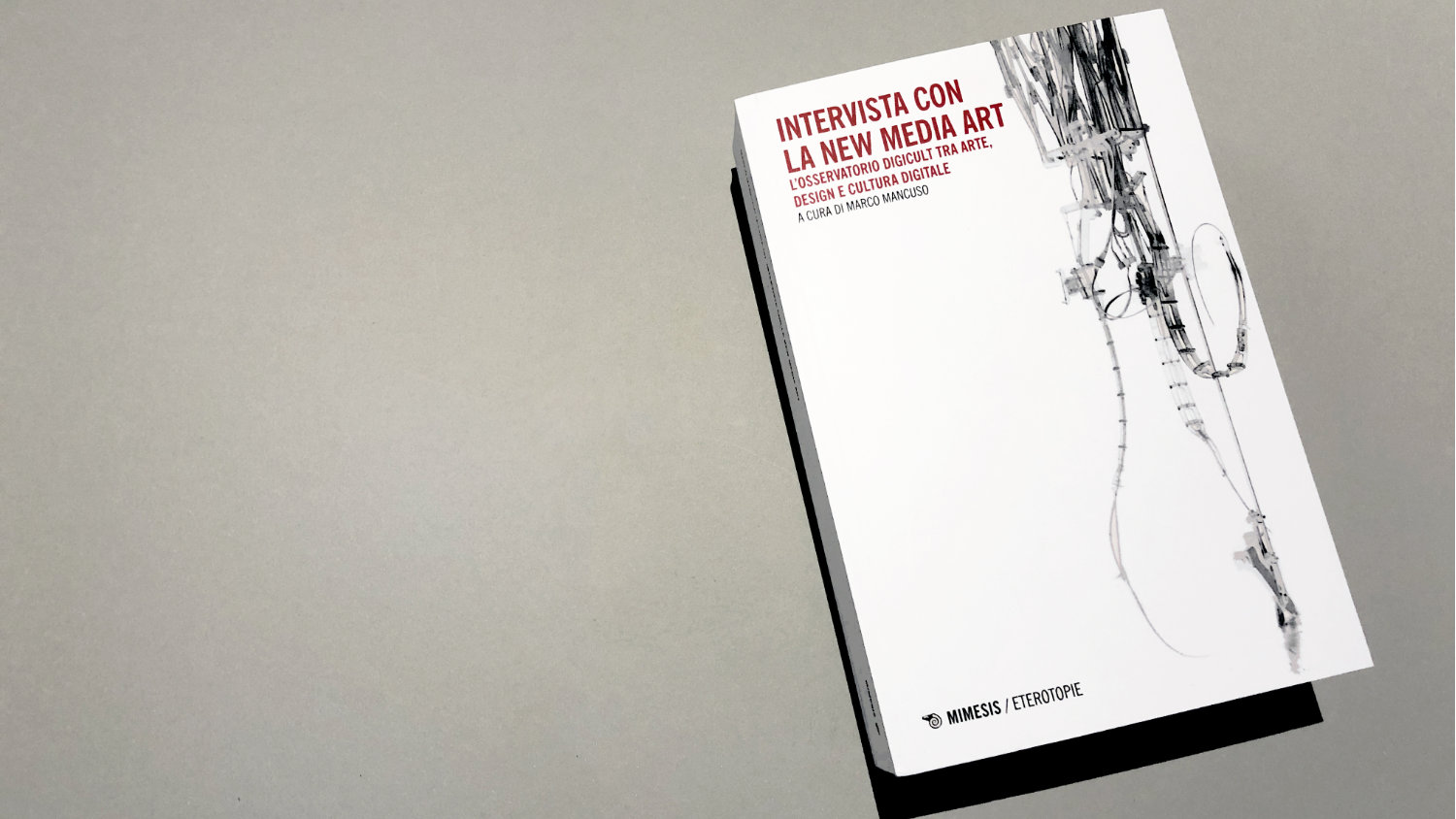 Intervista con la new media art interno sito