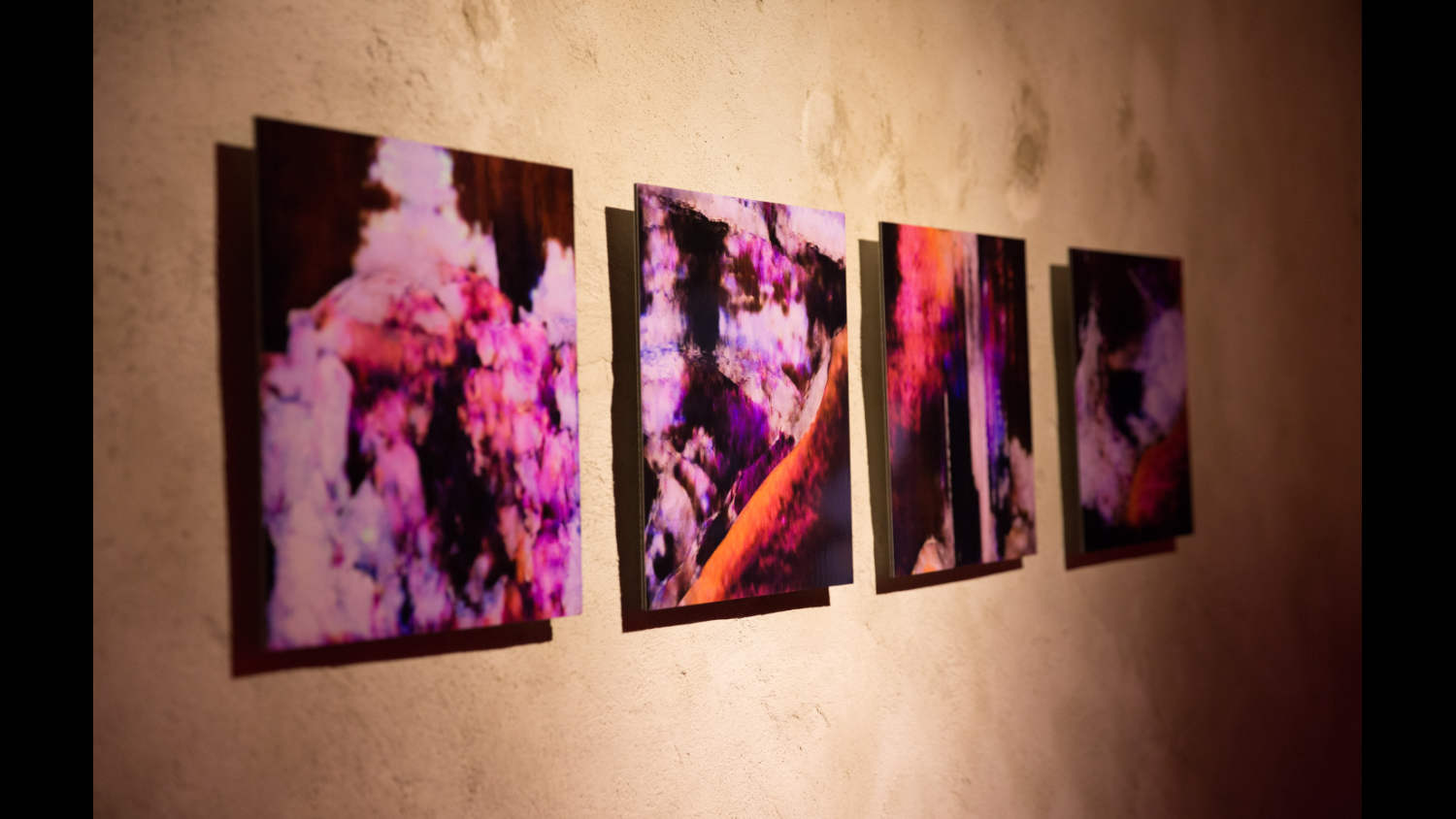 12 Guido Segni