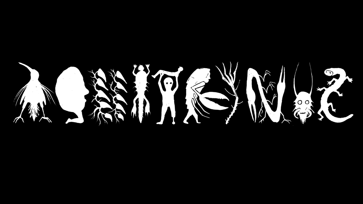 aquitrinus interno sito