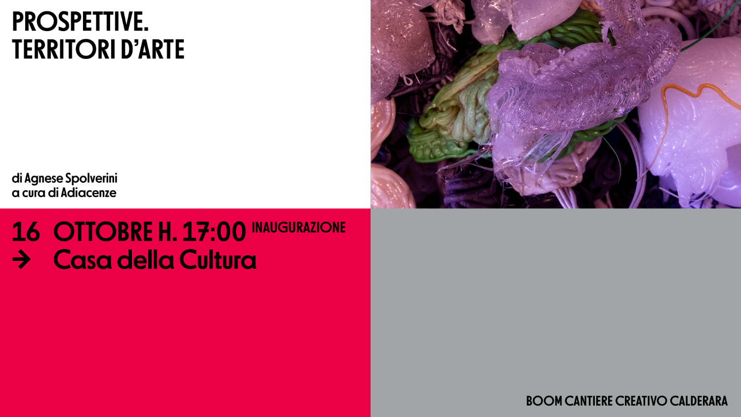 Prospettive Agnese Spolverini_int