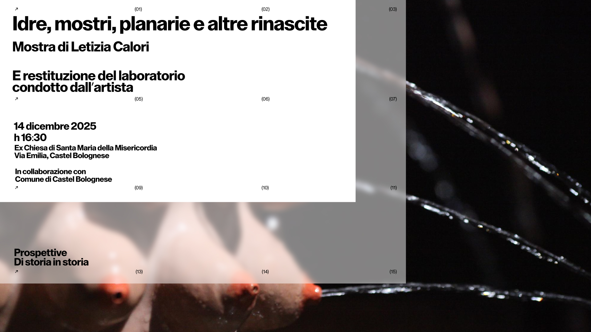 Castel-Bolognese_mostra_banner